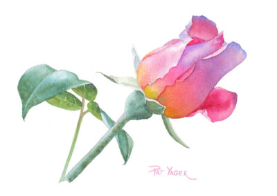 7-the-rose