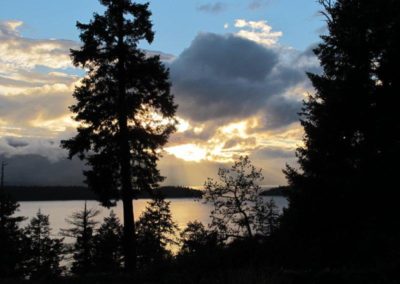 salt-spring